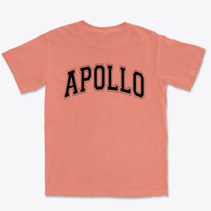 Apollo Elementary School Varsity Arch Premium Heavyweight T-shirt