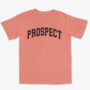 Prospect School Varsity Arch Premium Heavyweight T-shirt