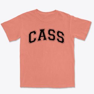Cass Elementary School Varsity Arch Premium Heavyweight T-shirt