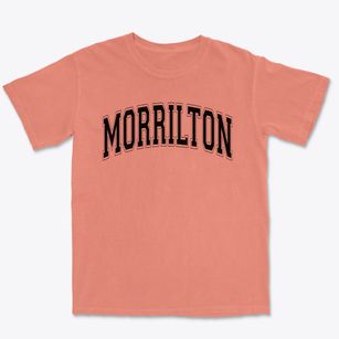 Morrilton Middle School Varsity Arch Premium Heavyweight T-shirt