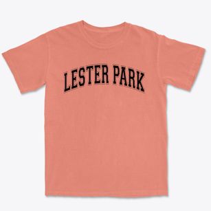 Lester Park Elementary School Varsity Arch Premium Heavyweight T-shirt