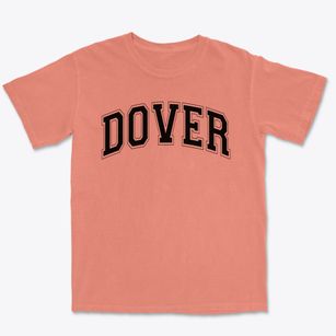Dover Intermediate School Varsity Arch Premium Heavyweight T-shirt
