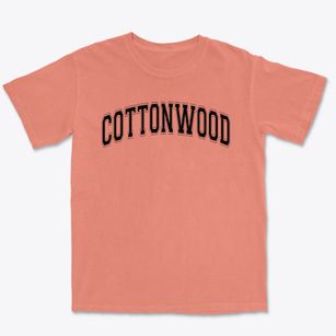 Cottonwood Elementary School Varsity Arch Premium Heavyweight T-shirt