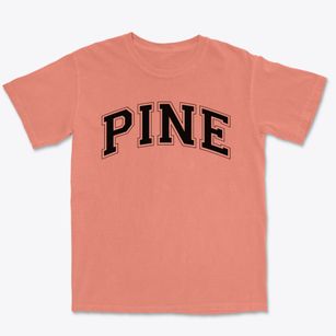 Pine Grove Manor Primary School Varsity Arch Premium Heavyweight T-shirt