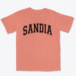 Sandia Montessori School Varsity Arch Premium Heavyweight T-shirt