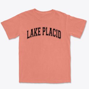Lake Placid Elementary School Varsity Arch Premium Heavyweight T-shirt