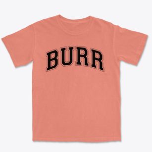 Burr Intermediate School Varsity Arch Premium Heavyweight T-shirt