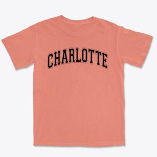 Charlotte Secondary School Varsity Arch Premium Heavyweight T-shirt