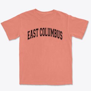 East Columbus Elementary School Varsity Arch Premium Heavyweight T-shirt