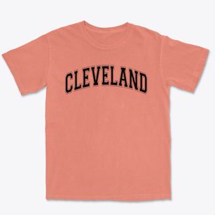 Cleveland Elementary School Varsity Arch Premium Heavyweight T-shirt