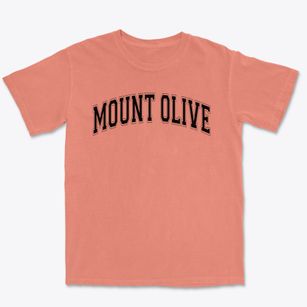 Mount Olive Lutheran School Varsity Arch Premium Heavyweight T-shirt