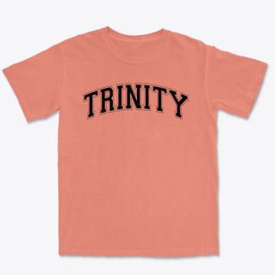 Trinity Christian Academy Varsity Arch Premium Heavyweight T-shirt