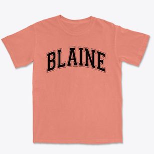 Blaine Elementary School Varsity Arch Premium Heavyweight T-shirt