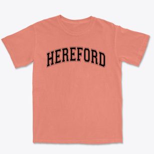 Hereford School Varsity Arch Premium Heavyweight T-shirt