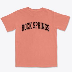 Rock Springs Elementary School Varsity Arch Premium Heavyweight T-shirt