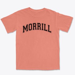 Morrill Elementary School Varsity Arch Premium Heavyweight T-shirt
