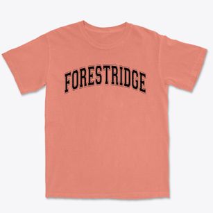 Forestridge Elementary School Varsity Arch Premium Heavyweight T-shirt