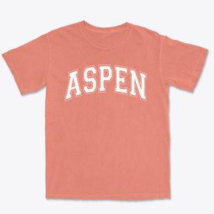 Aspen Elementary School Varsity Arch Premium Heavyweight T-shirt