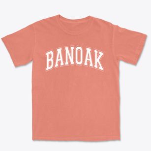 Banoak Elementary School Varsity Arch Premium Heavyweight T-shirt