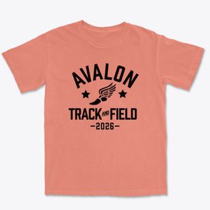 Avalon Elementary School Track and Field Premium Heavyweight T-shirt