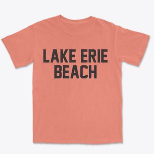 Lake Erie Beach New York Classic Block Premium Heavyweight T-shirt