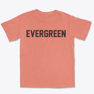 Evergreen Wisconsin Classic Block Premium Heavyweight T-shirt