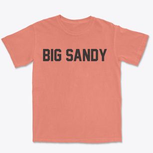 Big Sandy Tennessee Classic Block Premium Heavyweight T-shirt