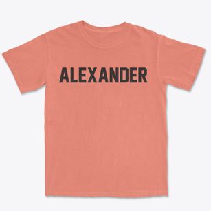 Alexander Maine Classic Block Premium Heavyweight T-shirt
