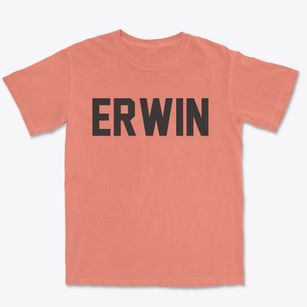 Erwin New York Classic Block Premium Heavyweight T-shirt