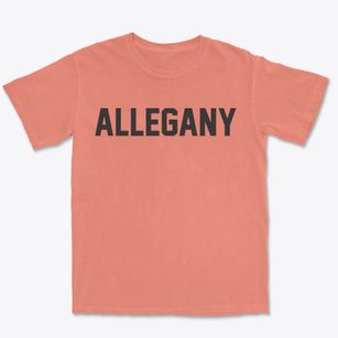 Allegany New York Classic Block Premium Heavyweight T-shirt