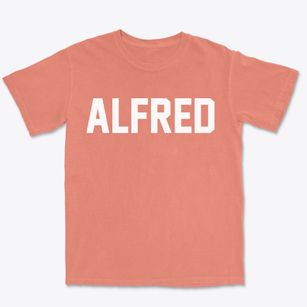 Alfred New York Classic Block Premium Heavyweight T-shirt