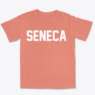 Seneca New York Classic Block Premium Heavyweight T-shirt