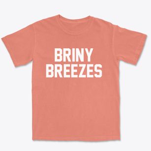 Briny Breezes Florida Classic Block Premium Heavyweight T-shirt