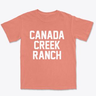 Canada Creek Ranch Michigan Classic Block Premium Heavyweight T-shirt