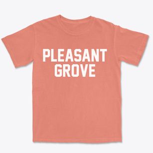 Pleasant Grove Alabama Classic Block Premium Heavyweight T-shirt