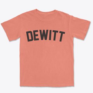 Dewitt Iowa Classic Curve Premium Heavyweight T-shirt