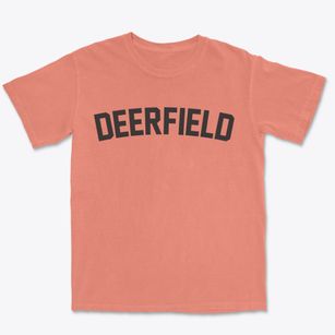 Deerfield Illinois Classic Curve Premium Heavyweight T-shirt
