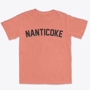Nanticoke Maryland Classic Curve Premium Heavyweight T-shirt