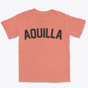Aquilla Ohio Classic Curve Premium Heavyweight T-shirt