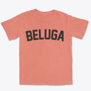 Beluga Alaska Classic Curve Premium Heavyweight T-shirt