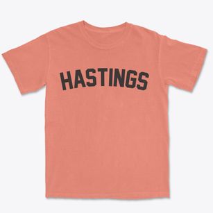 Hastings New York Classic Curve Premium Heavyweight T-shirt