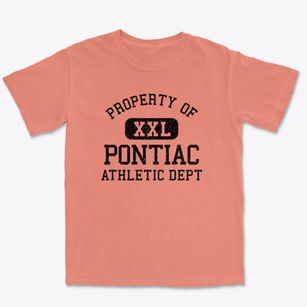 Pontiac Michigan Athletic Dept Premium Heavyweight T-shirt