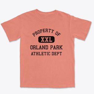 Orland Park Illinois Athletic Dept Premium Heavyweight T-shirt