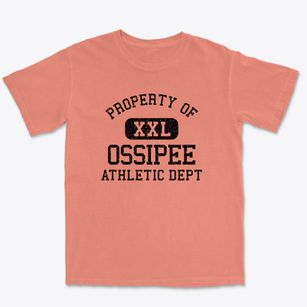 Ossipee New Hampshire Athletic Dept Premium Heavyweight T-shirt