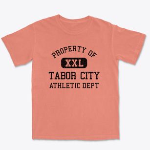 Tabor City North Carolina Athletic Dept Premium Heavyweight T-shirt
