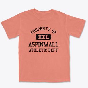 Aspinwall Pennsylvania Athletic Dept Premium Heavyweight T-shirt