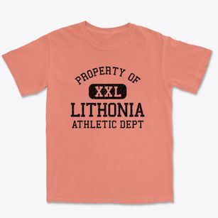 Lithonia Georgia Athletic Dept Premium Heavyweight T-shirt