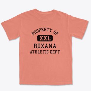 Roxana Illinois Athletic Dept Premium Heavyweight T-shirt