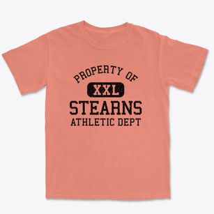 Stearns Kentucky Athletic Dept Premium Heavyweight T-shirt