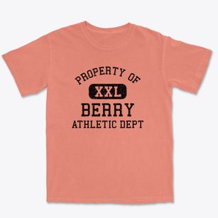 Berry Wisconsin Athletic Dept Premium Heavyweight T-shirt